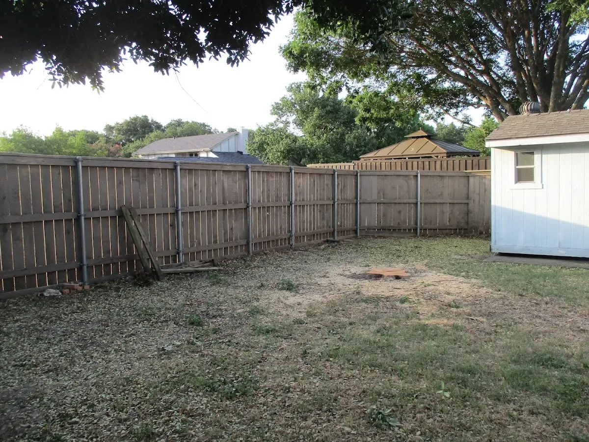 Cleared yard after professional tree removal in American Canyon